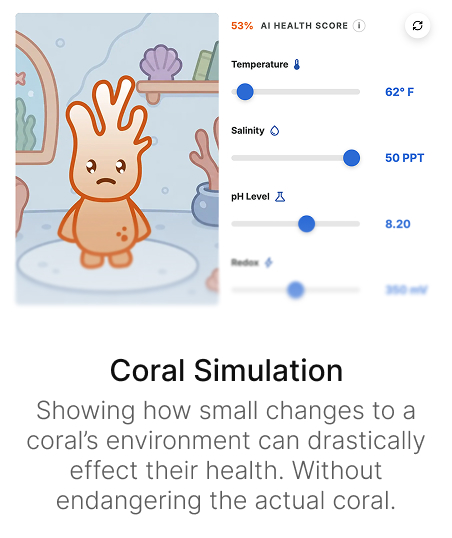 Simulation