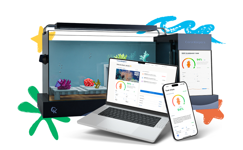 Coral Keepers app
