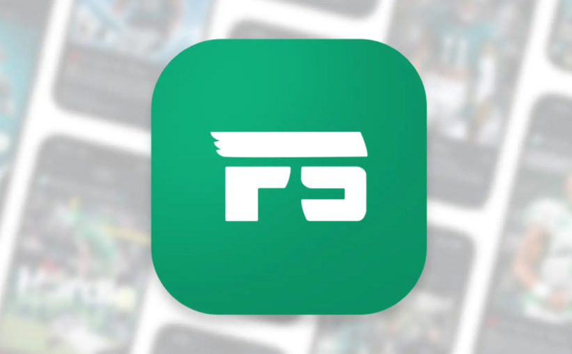 Flock Sports branding